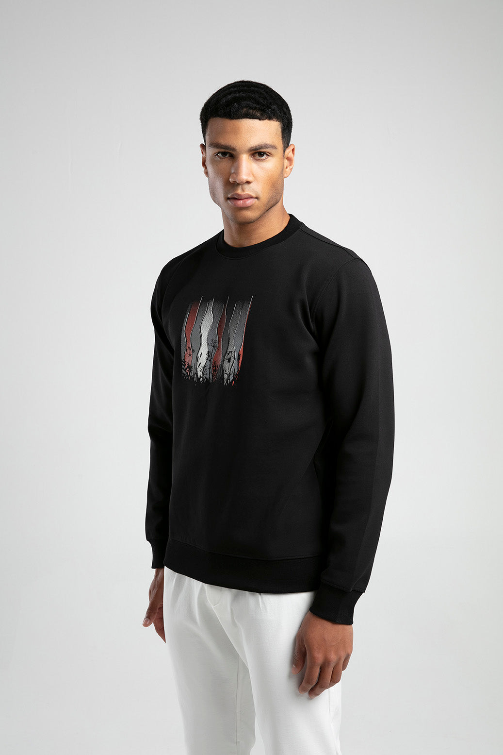 Kır Çiçeği Baskılı Bisiklet Yaka Erkek Sweatshirt - Siyah